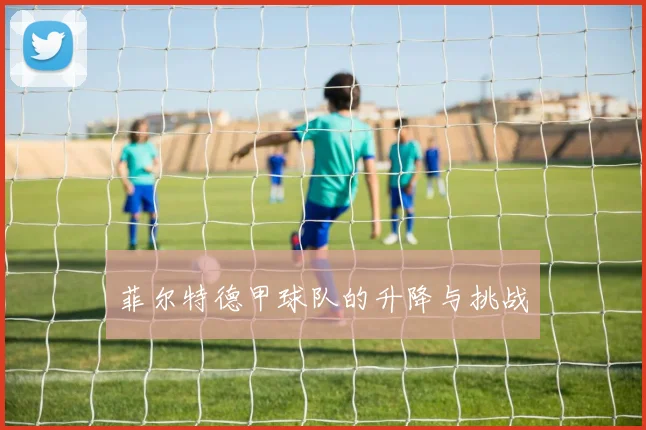 菲尔特德甲球队的升降与挑战